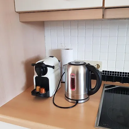 Wohlfuehlwohnung Sonnenterrasse E Auto Ladestation Daire *