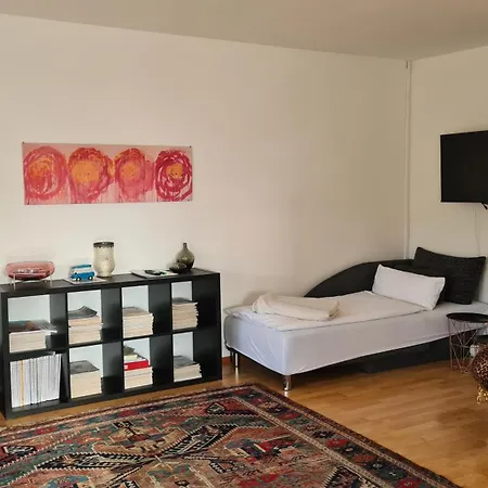 Wohlfuehlwohnung Sonnenterrasse E Auto Ladestation * Grenzach-Wyhlen